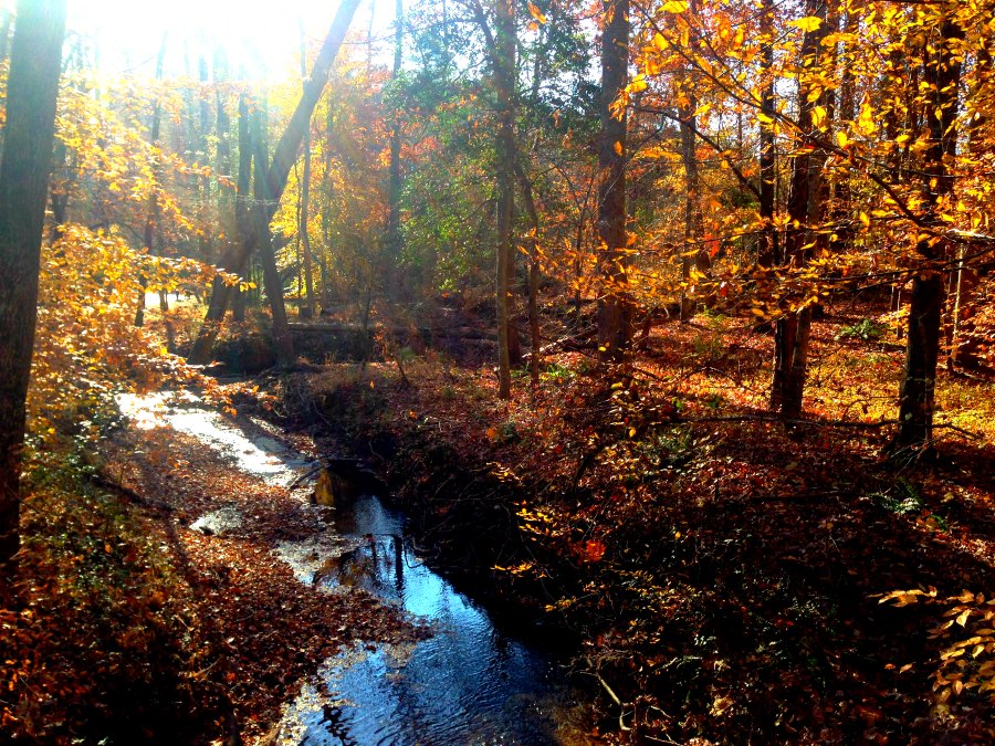 Autumn creek and #mindfulness - www.alliepottswrites.com