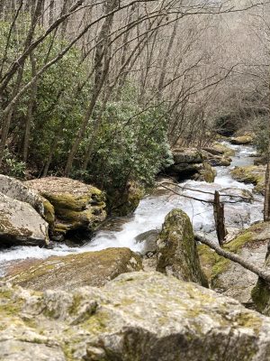 Crab Orchard Falls NC - www.alliepottswrites.com #hiking #travel