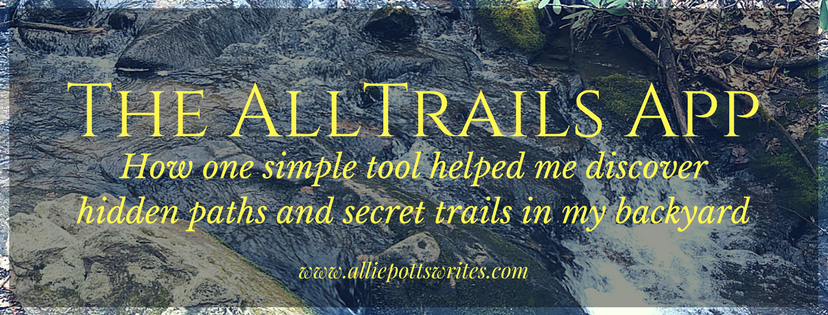 How one simple tool helped me discover hidden paths and secret trails in my backyard